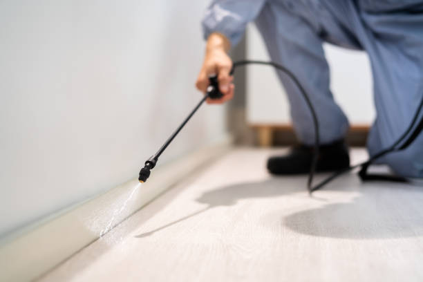 Rodent Entry Point Assessment in White Cloud