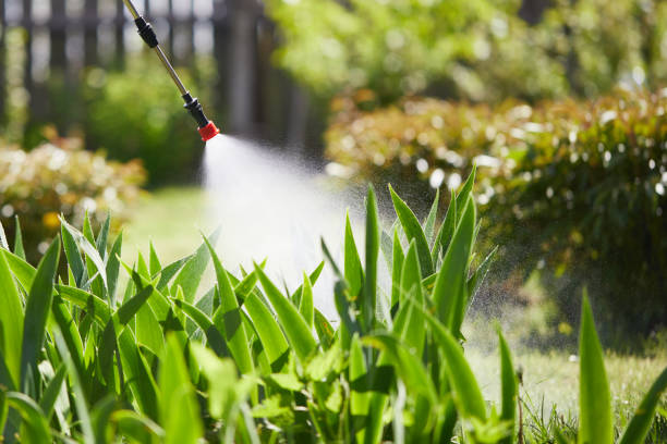 Tamper-Resistant Bait Stations for Rodents in White Cloud