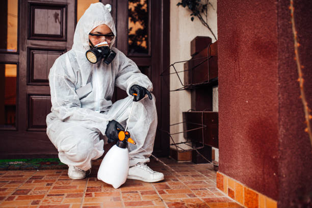 Attic and Crawl Space Rodent Treatment in White Cloud
